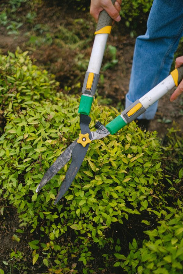 Gartenpflege in Aachen - Chehade - Familiy Office - Business - Aachen - Vermittlung - Kaufmann - Marketing