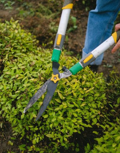 Gartenpflege in Aachen - Chehade - Familiy Office - Business - Aachen - Vermittlung - Kaufmann - Marketing
